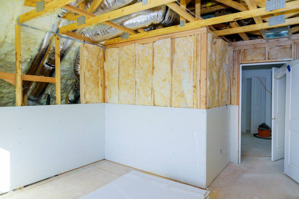 Best Attic Insulation Installation  in Belleville, MI