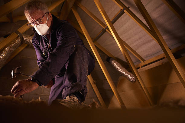 Best Commercial Insulation Contractor  in Belleville, MI